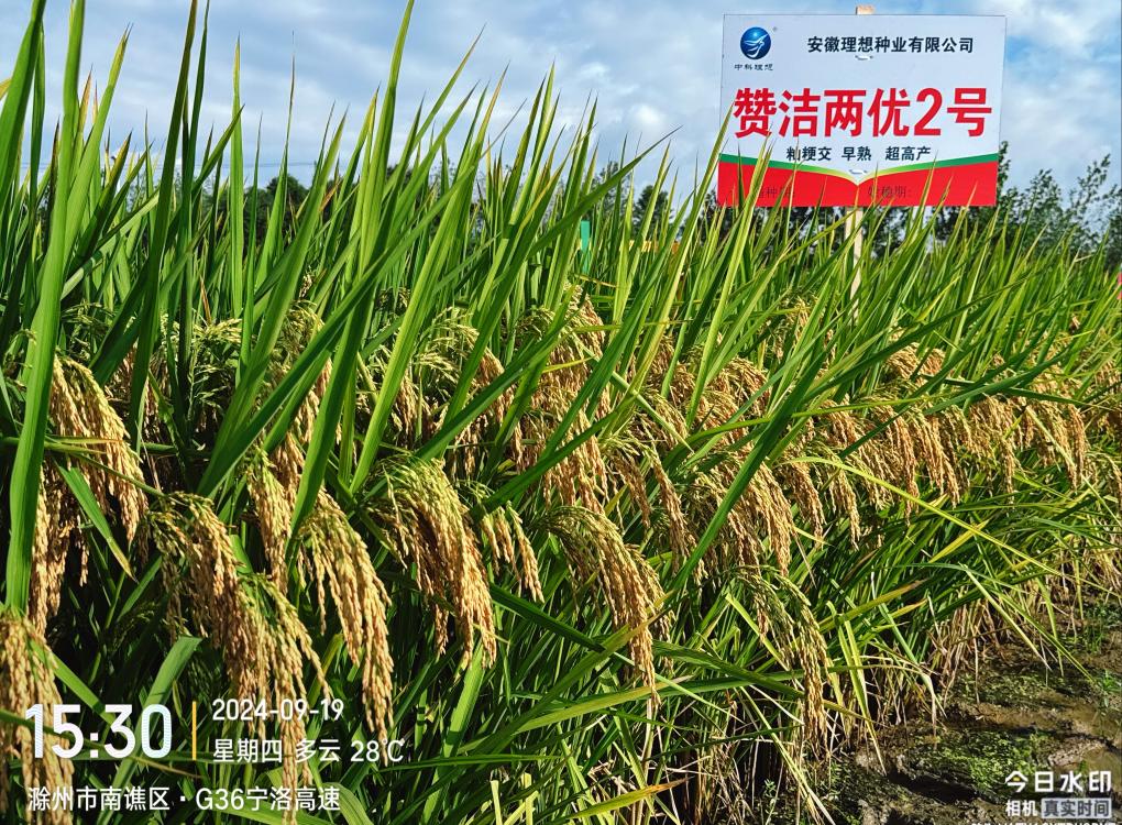 贊2， 4.58M(1).jpg