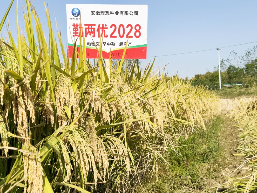 勤兩優(yōu)2028.jpg